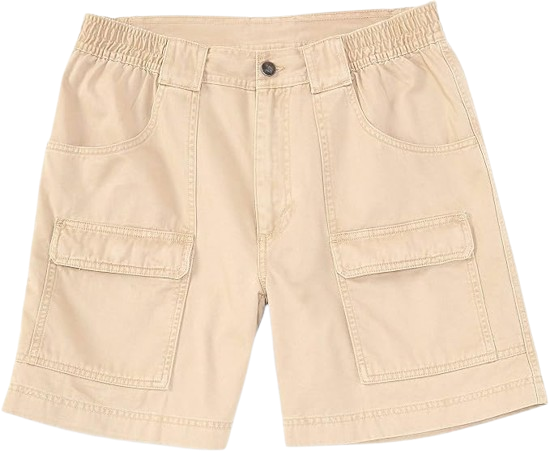 Hiker Cargo Stretch Shorts